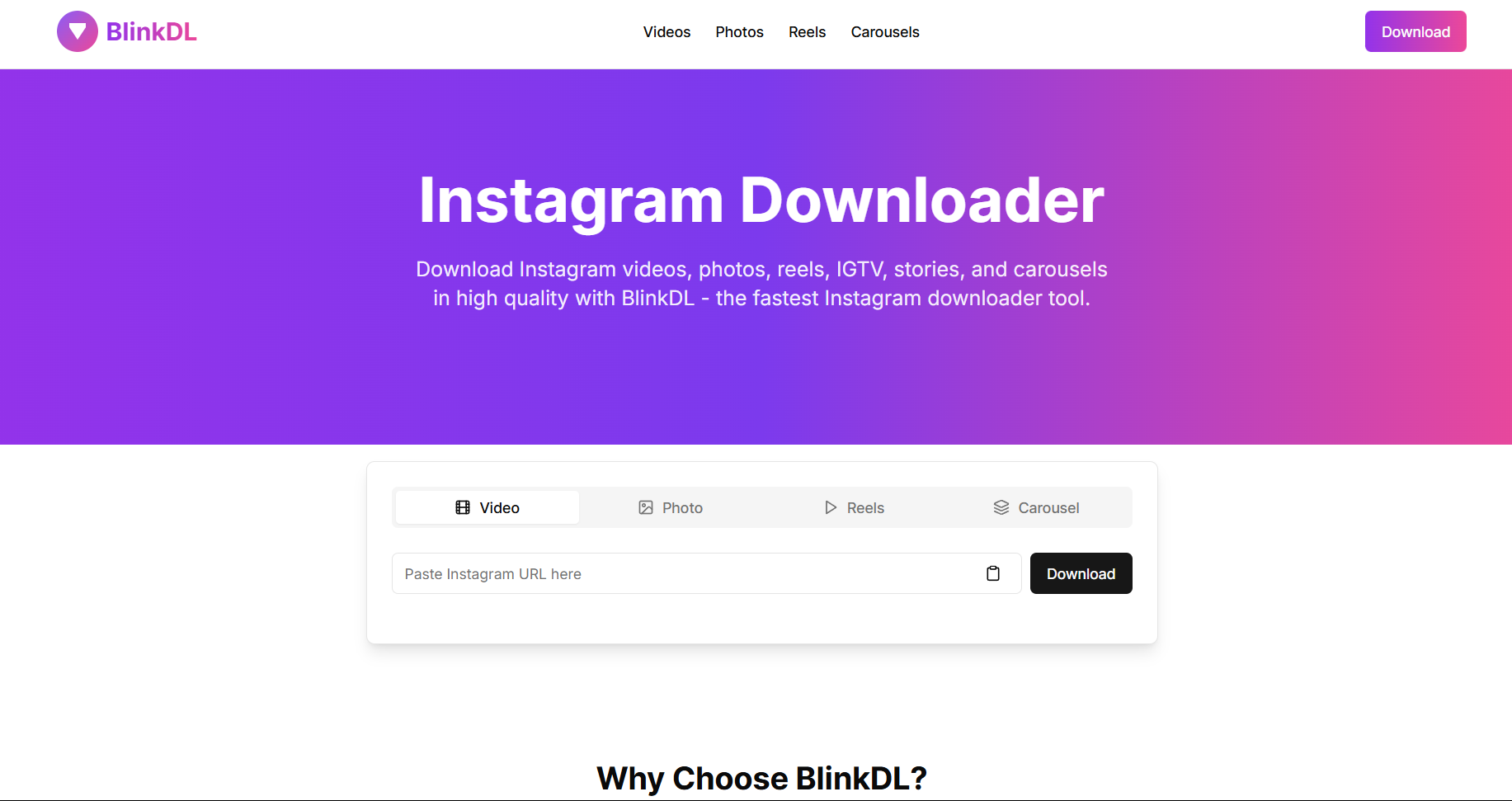 BlinkDL Instagram Downloader Interface